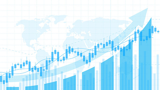 南天信息发布《2021年第三季度报告》