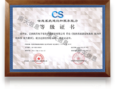 信息系统建设和服务能力杰出级（CS5）