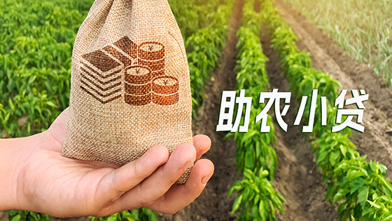 南天信息助力金融惠农：为乡村振兴注入科技活力