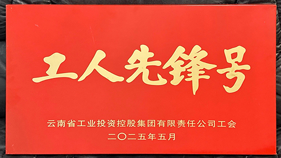 看！TA们是来自南天信息的工投集团工人先锋号